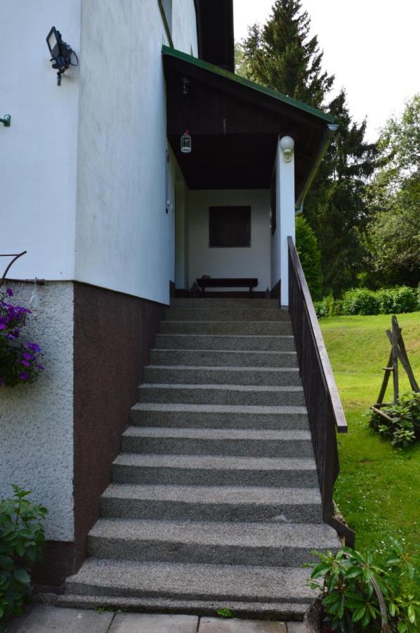 Horsky Apartman Pod Zelenou Strechou Bartosovice v Orlickych Horach Exterior foto